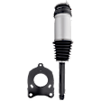 Rear, Driver or Passenger Side Air Strut