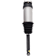 Rear, Driver or Passenger Side Air Strut