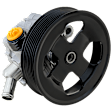 Power Steering Pump With Pulley, Without Reservoir