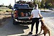 Classic Soft Tri-Fold Vinyl Tonneau Cover - Fits Approx. 6 ft. 6 in. Bed Fleetside, w/o Cargo
