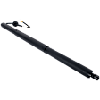 Driver Side Liftgate Lift Support, Sold individually