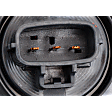 Driver Side Tail Light, with Bulb, Halogen, 6 Cyl., 3.5L Engine, with Black Sport Bezel, For Nightshade Special Edition and TRD Pro