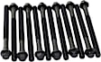 Cylinder Head Bolt, Set of 12