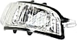 Passenger Side Mirror Turn Signal Light