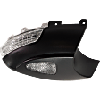 Passenger Side Mirror Turn Signal Light, 4 Cyl., 2.0L Engine
