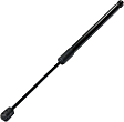 Driver or Passenger Side Trunk Lid Lift Support, Sedan
