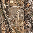 2057-17 Bug Shield, Camouflage, Bolt-On Attachment Style, Vigilante Premium Series
