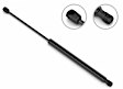 2B-043055 Driver and Passenger Side Hood Lift Support, Sold Individually