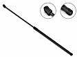 2B-086531 Driver and Passenger Side Hood Lift Support, Sold Individually