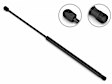 3B-103253 Driver and Passenger Side Hood Lift Support, Sold Individually