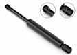 2004 Lexus ES330 - Driver and Passenger Side Lift Support Hood