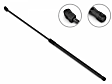 3B-241421 Driver and Passenger Side Hood Lift Support, Sold Individually
