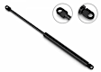 3B-8404DL Driver and Passenger Side Hood Lift Support, Sold Individually