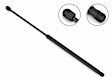 2011 Chevrolet Tahoe - Driver and Passenger Side Lift Support Hood