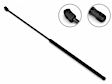 3B-919219 Driver and Passenger Side Hood Lift Support, Sold Individually