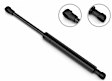 4B-1529QZ Driver and Passenger Side Hood Lift Support, Sold Individually