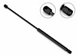4B-153682 Driver and Passenger Side Hood Lift Support, Sold Individually