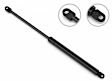 4B-254575 Driver and Passenger Side Hood Lift Support, Sold Individually