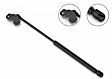 2013 Acura TSX - Driver and Passenger Side Lift Support Hood, Sedan