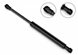 4B-956039 Driver or Passenger Side Hatch Lift Support, Sold Individually