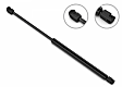 2017 Ford F-350 Super Duty - Driver and Passenger Side Lift Support Hood, Cab & Chassis