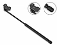 4B-9904VE Driver and Passenger Side Hood Lift Support, Sold Individually