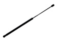 2013 Mini Cooper Countryman - Lift Support For Hatch