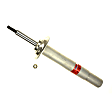 556 834 Front, Driver or Passenger Side Bare Strut