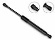 2012 Audi Q5 - Driver and Passenger Side Lift Support Hood