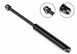 5B-1577BL Driver and Passenger Side Hood Lift Support, Base, Sold Individually