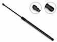 5B-397953 Driver and Passenger Side Hood Lift Support, Sold Individually