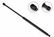 2016 Infiniti QX60 - Driver and Passenger Side Lift Support Hood
