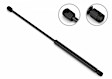 2001 Pontiac Aztek - Lift Support Tailgate, With Dropgate