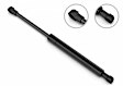 5G-598490 Driver or Passenger Side Deck Lid Lift Support, Sold Individually