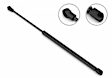 6B-511700 Driver and Passenger Side Hood Lift Support, Sold Individually