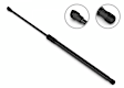 6B-547327 Driver or Passenger Side Hatch Lift Support, Sold Individually