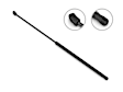 8P0-823-359 C Driver or Passenger Side Lift Support, Sold Individually