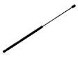 8P4-827-552 C Driver or Passenger Side Lift Support, Sold Individually