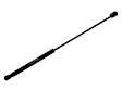 C2Z3481 Driver or Passenger Side Lift Support, Sold Individually