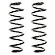SET-39192-2 Coil Springs, Set of 2