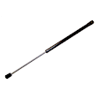 SET-55360411AB-2 Driver and Passenger Side Hood Lift Support, Set of 2