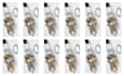 SET-AC41-801-12 Spark Plug, Set of 12, Professional Platinum Series