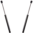 SET-AC5101031-2 Driver and Passenger Side Hood Lift Support, 3.8L, 6Cyl, Set of 2, OE Replacement Series