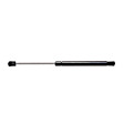 SET-AC5101031-2 Driver and Passenger Side Hood Lift Support, 3.8L, 6Cyl, Set of 2, OE Replacement Series