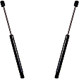 SET-AC5101247-2 Driver and Passenger Side Hood Lift Support, Set of 2, OE Replacement Series