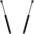 1984 Cadillac Eldorado - Driver and Passenger Side Lift Support Hood, For Hood, OE Replacement Series