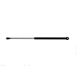 1998 Pontiac Bonneville - Driver and Passenger Side Lift Support Hood, For Hood, OE Replacement Series