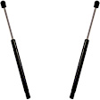 SET-AC510858-2 Driver and Passenger Side Hood Lift Support, 3.8L, 6Cyl, Set of 2, OE Replacement Series