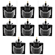 Ignition Coil, Set of 8
