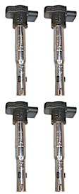 SET-BRE20127-4 Ignition Coil, Set of 4